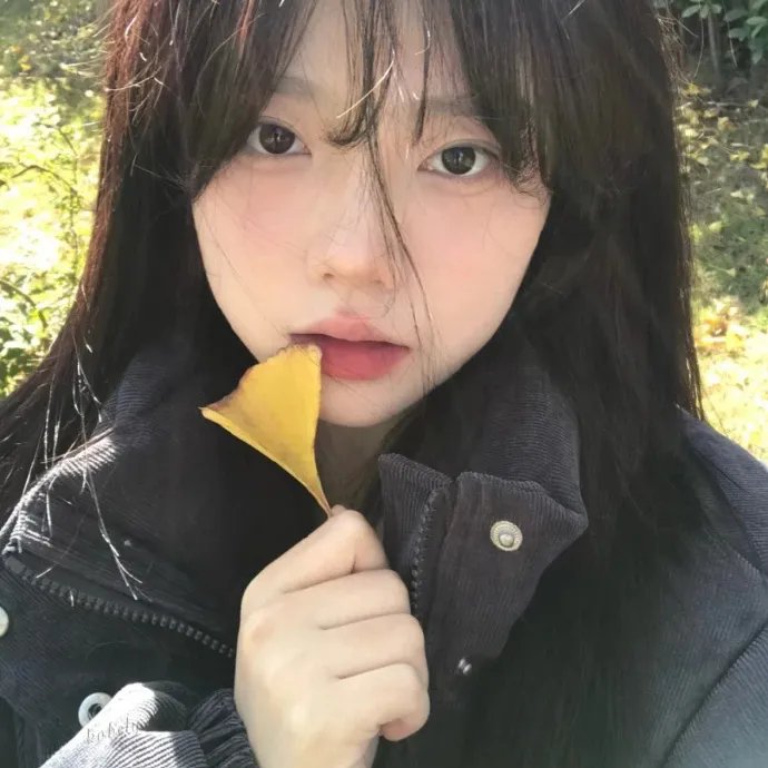 纽约遇到爱